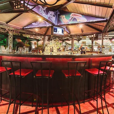 Art Babylon 阳光海滩